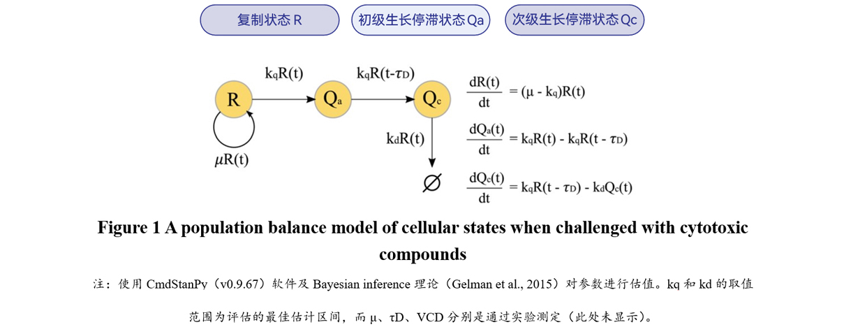 1662354745698208.jpg 图层-371.jpg