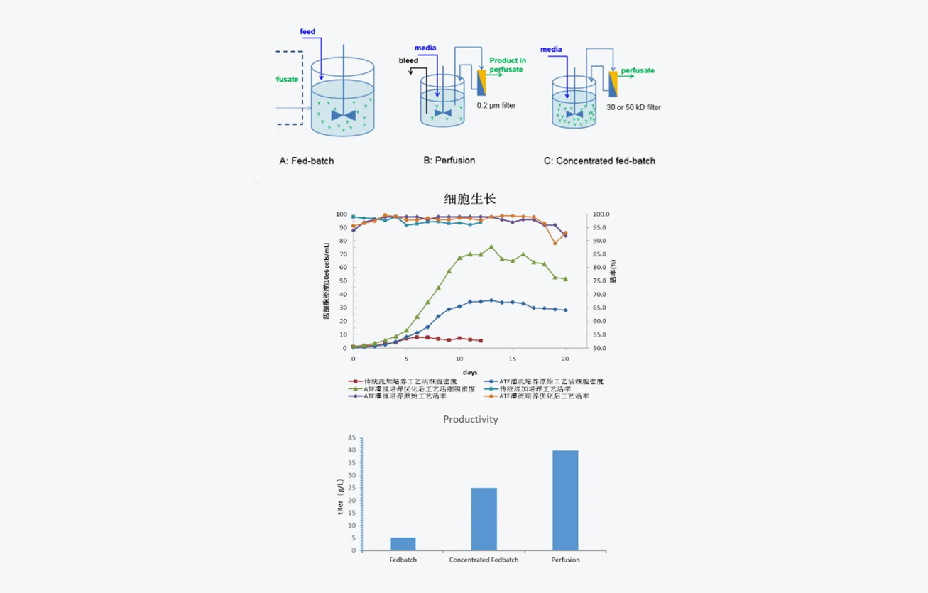 1663225524361083.jpg 图层-53.jpg