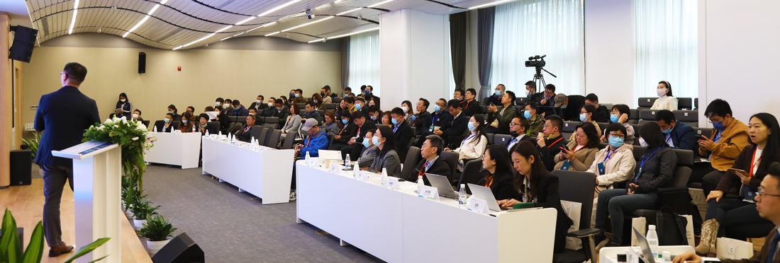 1668391866440300.jpg 8.jpg