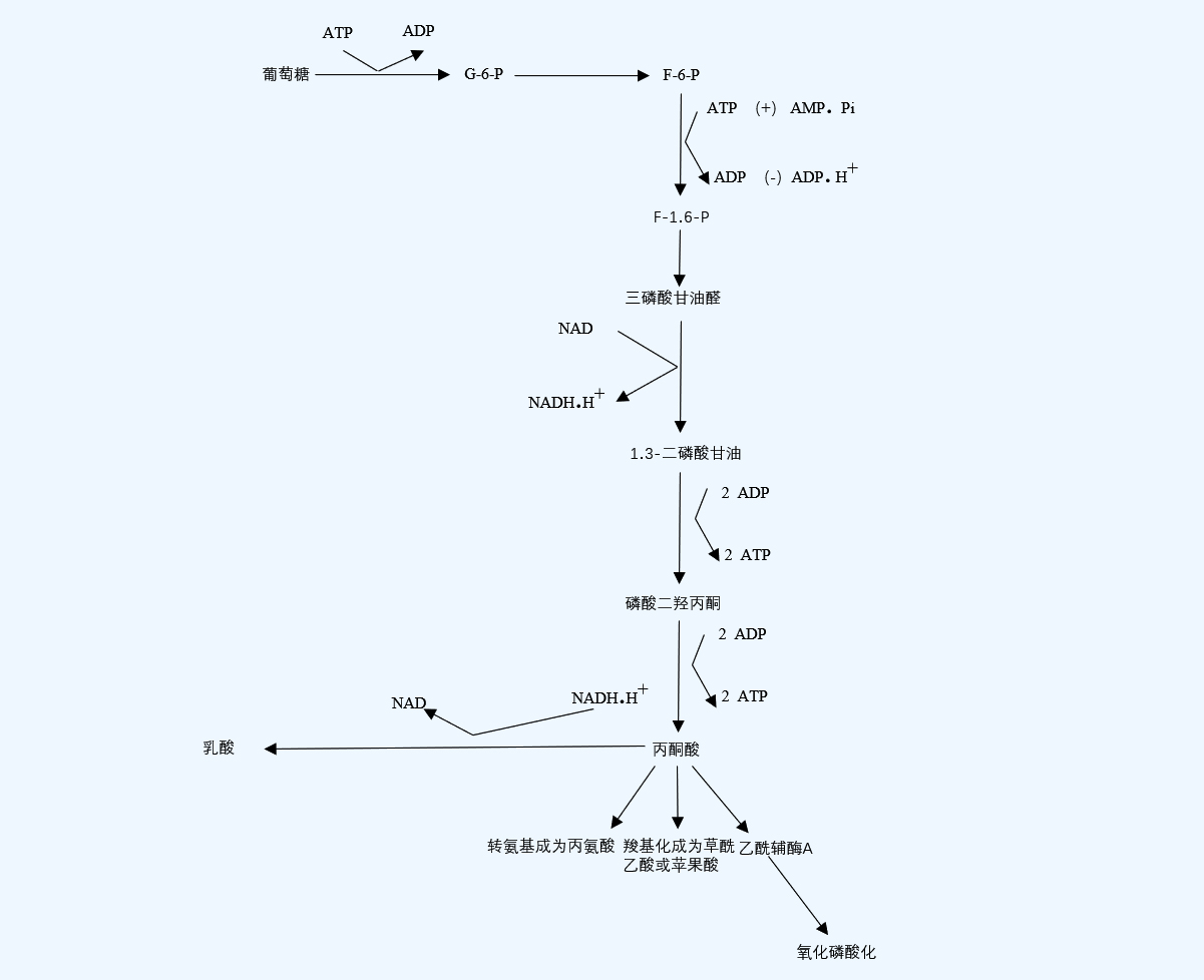 1669268461170389.jpg 4.jpg