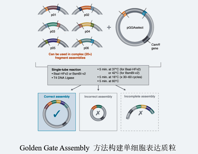 1671690127320884.jpg 1.jpg