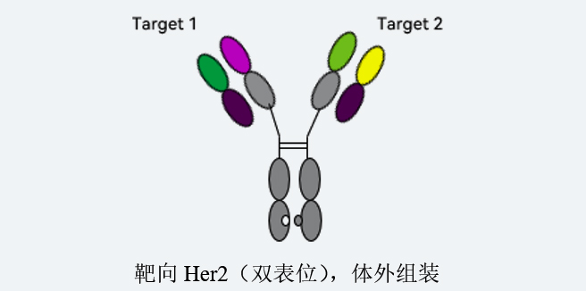 1671690187745887.jpg 2.jpg