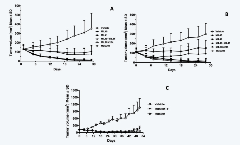 1671690298693565.jpg 6.jpg