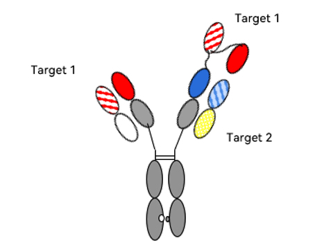 1671690325611591.jpg 8.jpg