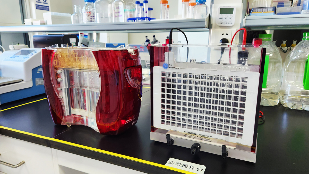 1671690856169260.jpg 1.jpg