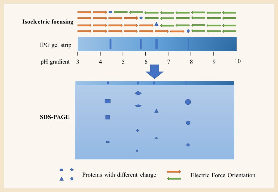 1671691026721136.jpg 8.jpg