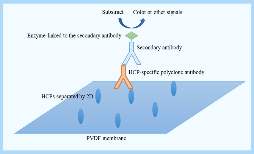 1671691087495615.jpg 10.jpg