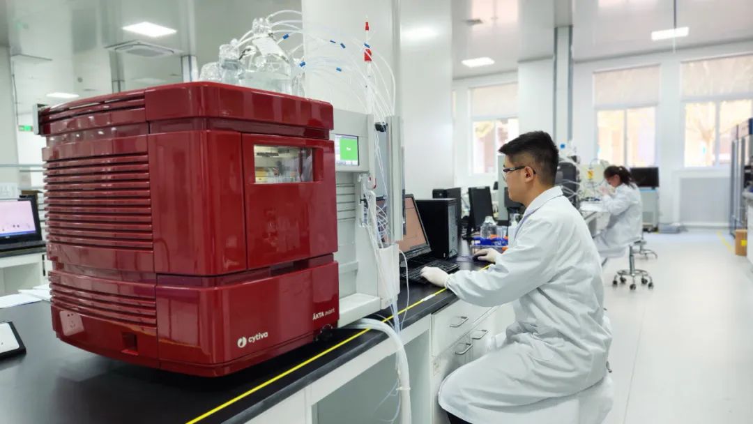 1688435883274532.jpg 640 (1).jpg