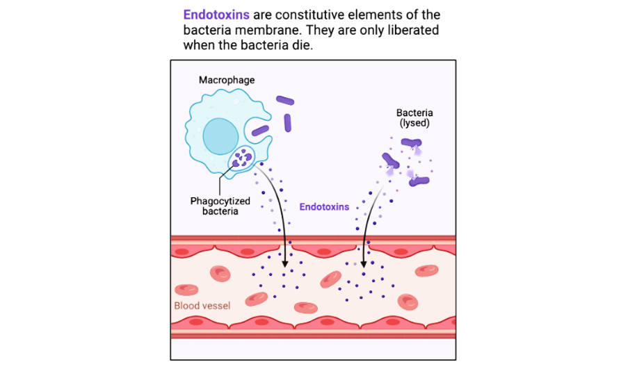 1692681307367926.jpg 1.jpg