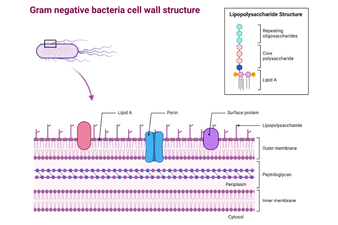1692681324755415.jpg 2.jpg